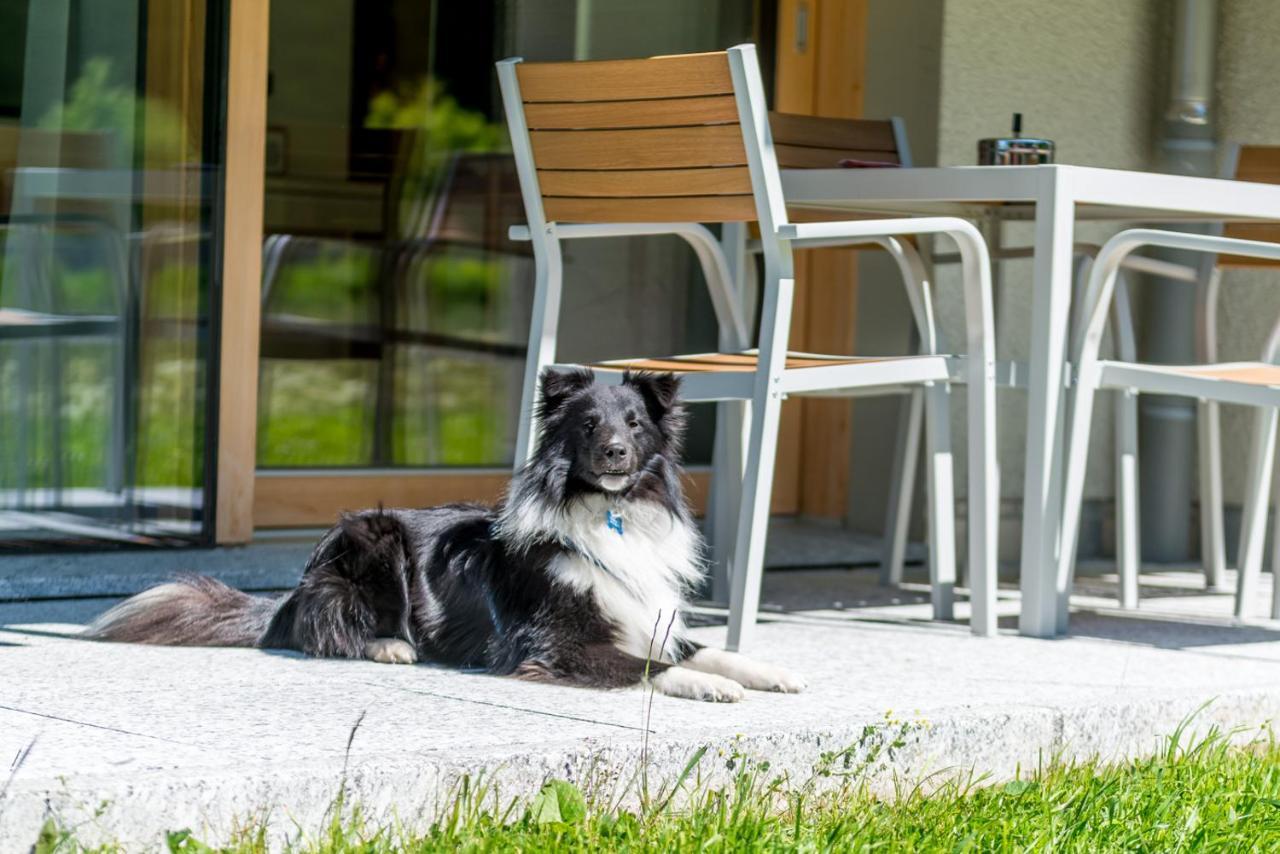 Montela Hotel & Resort - Suiten Saas-Grund Exterior foto